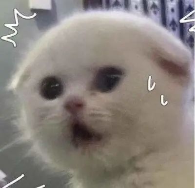 DƬ